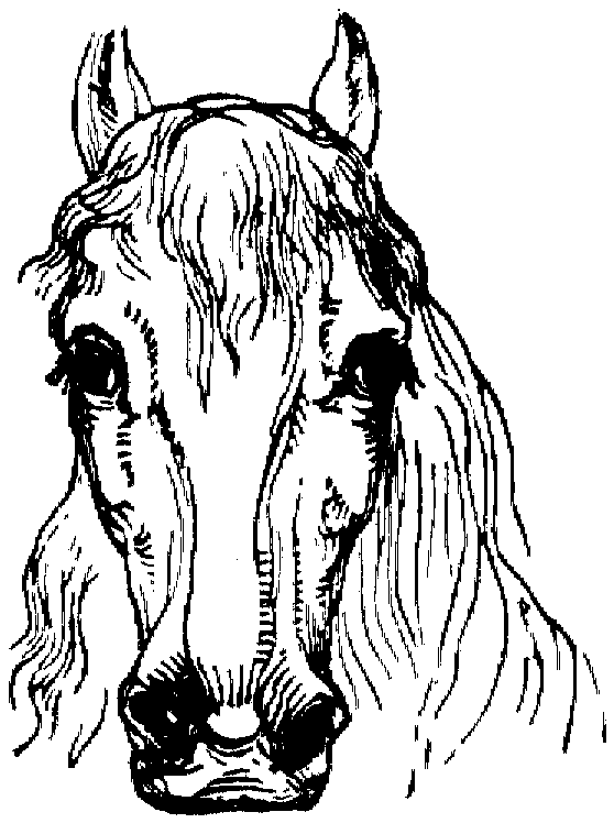 Free Horse Coloring Pages