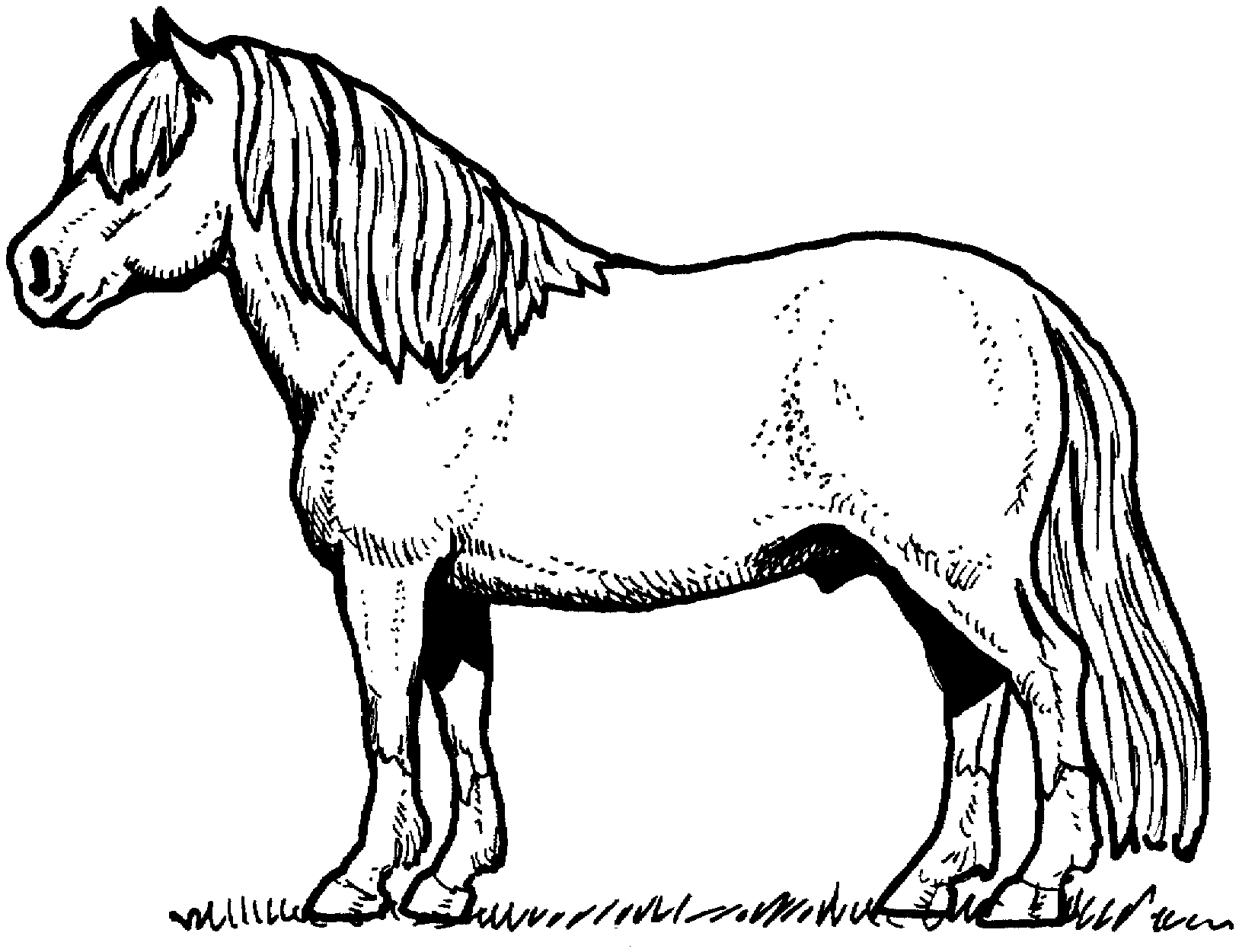 free coloring pages online horses - photo #29