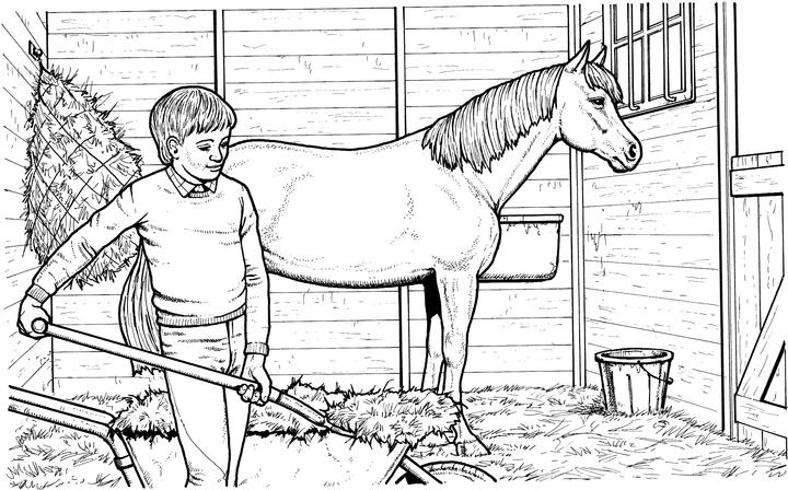 quarter horse coloring pages printable - photo #47