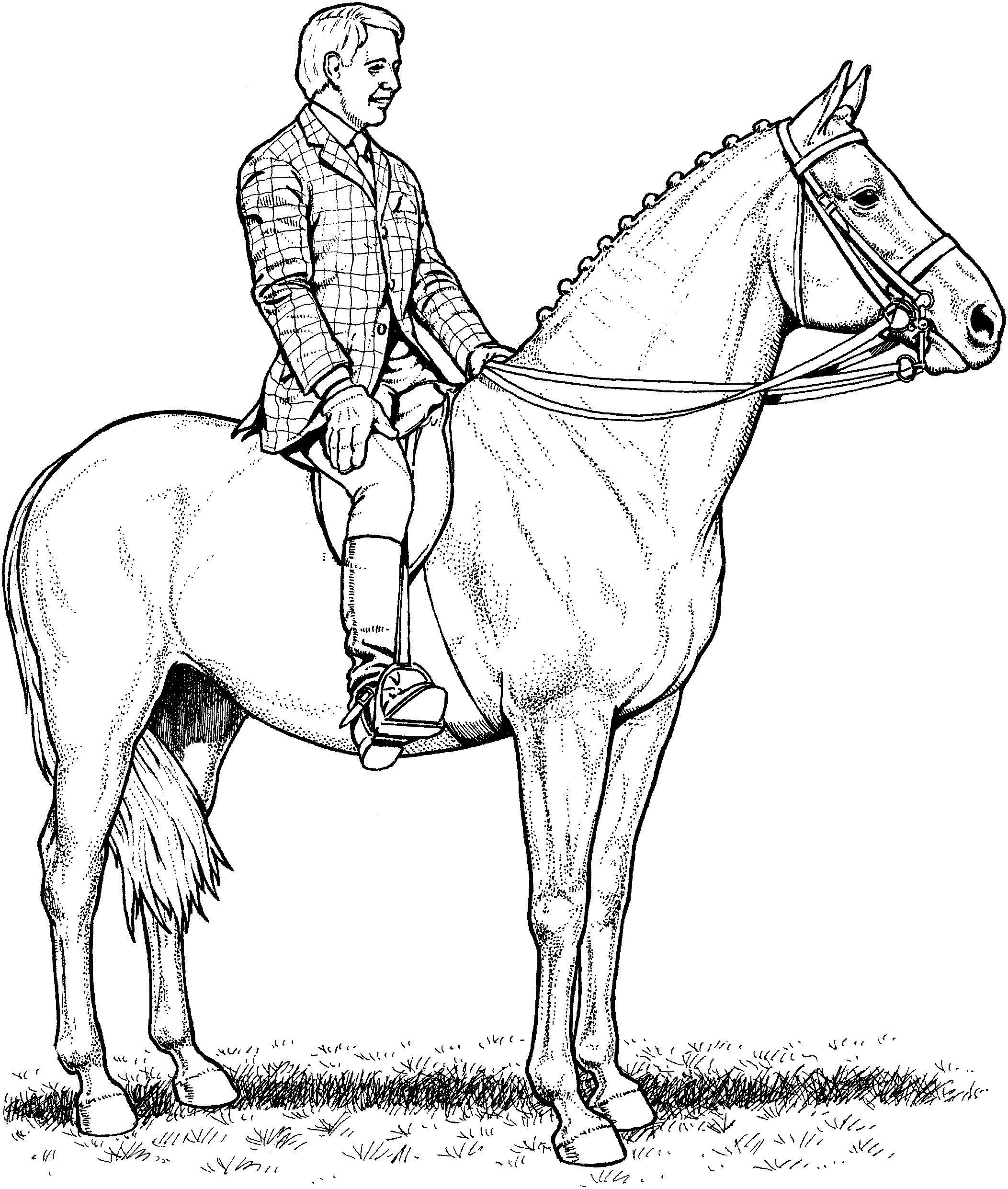 a herd horse coloring pages - photo #25