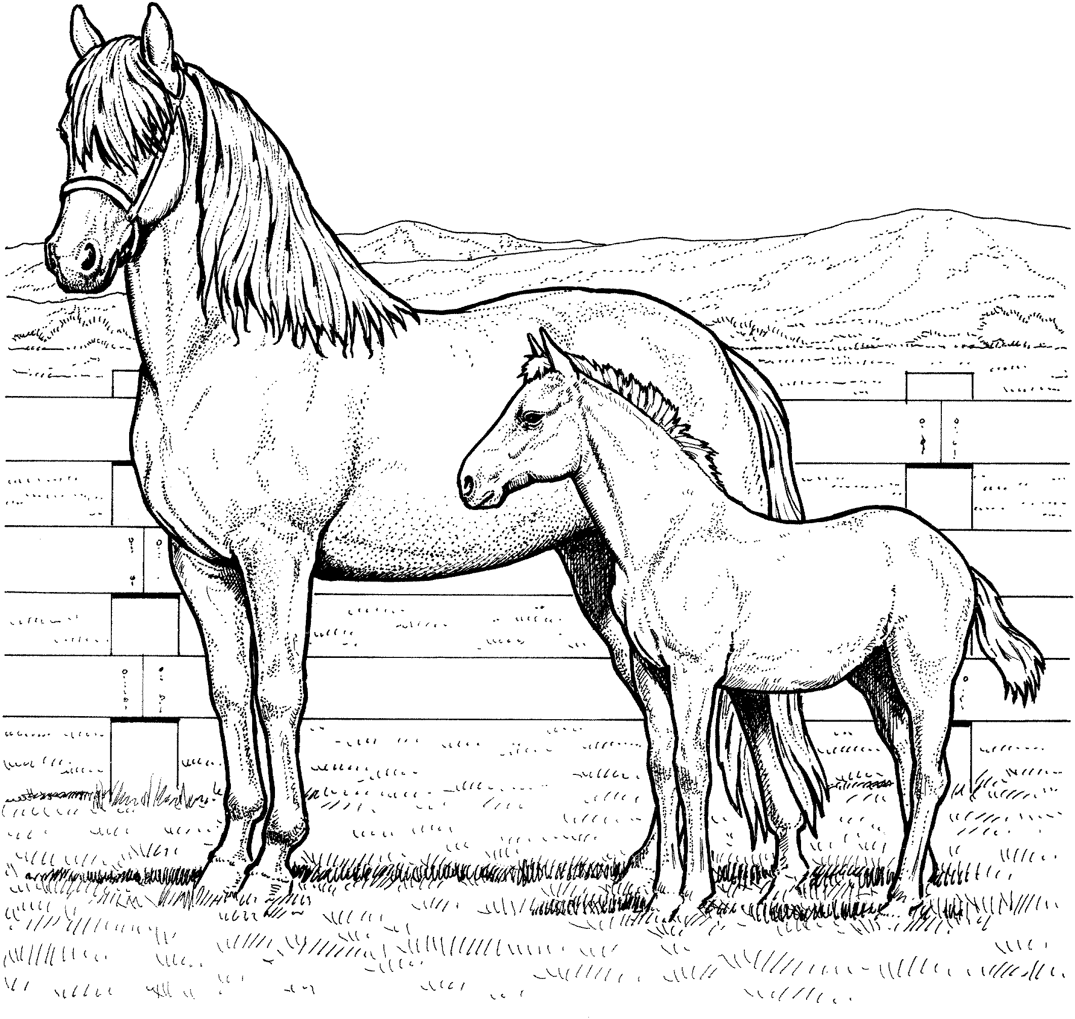 free-horse-coloring-pages