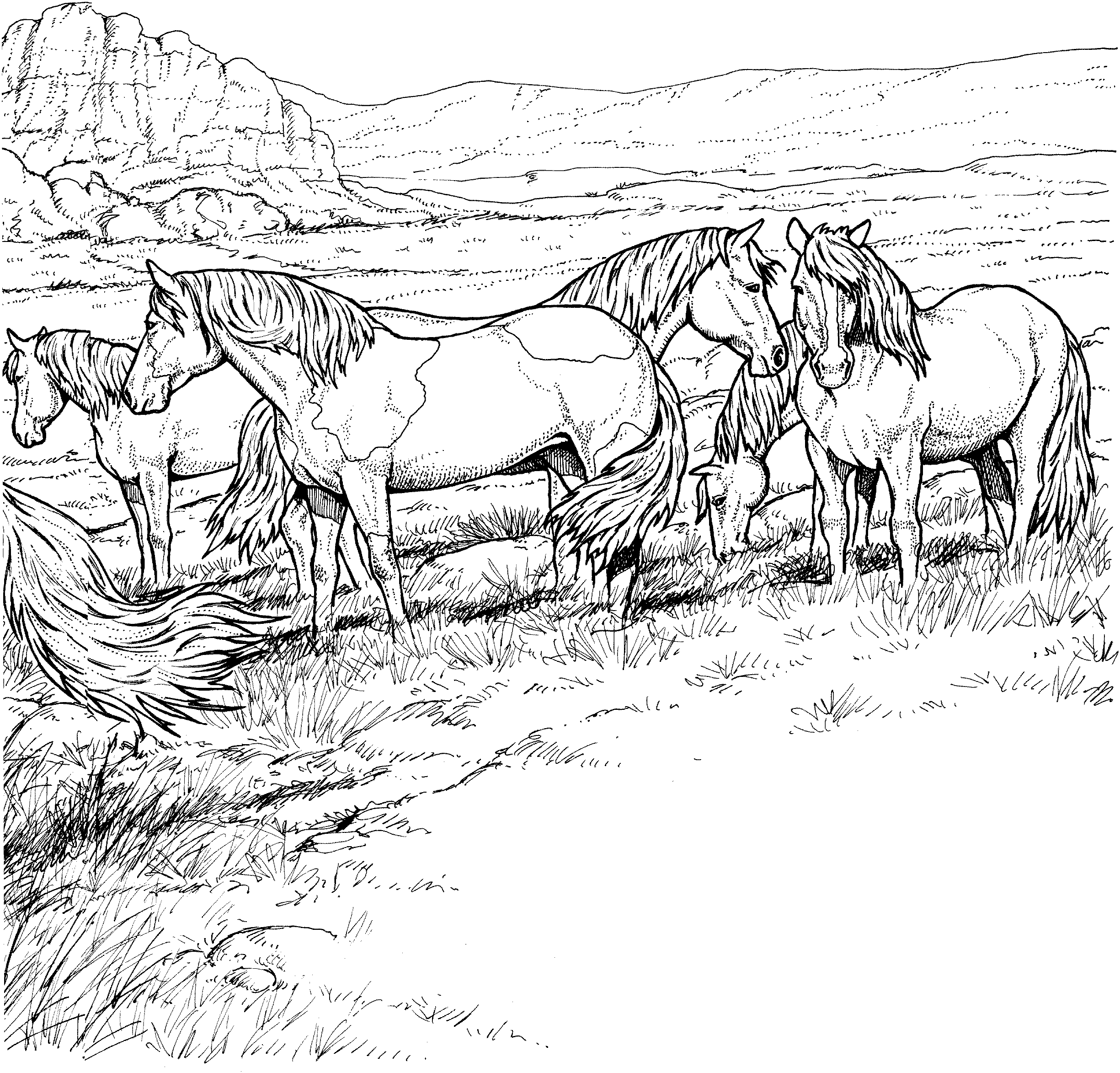 a herd horse coloring pages - photo #2