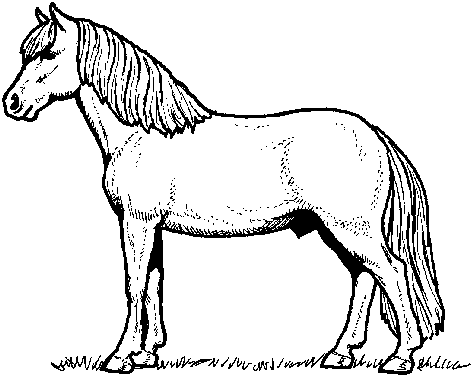 horse Colouring Pages