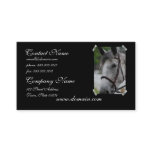 Cute Appaloosa Horse Business Card