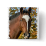 Quarter Horse Square Pin