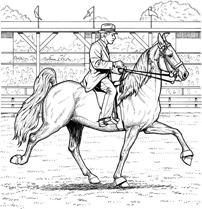 Free Horse Breeds Coloring Pages